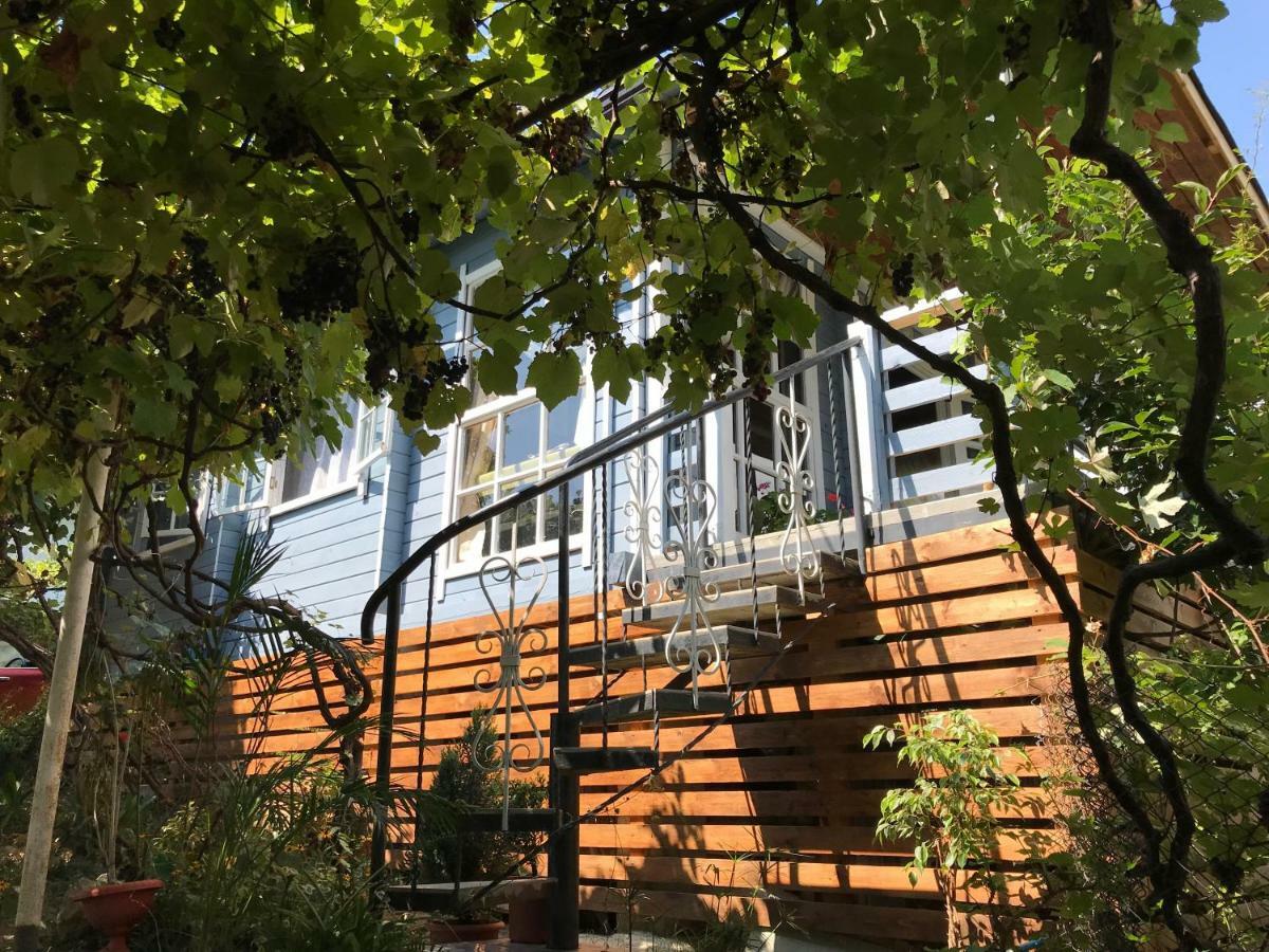 Eco Cottage Marina New Athos Exteriér fotografie